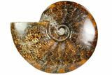 Polished Ammonite (Cleoniceras) With Pyrite - Madagascar #104855-1